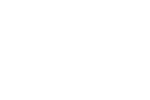 Skarabeusz Łódź